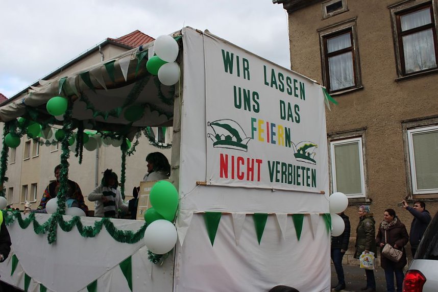 N&auml;rrinnen und Narren ziehen durch die Stadt (2)