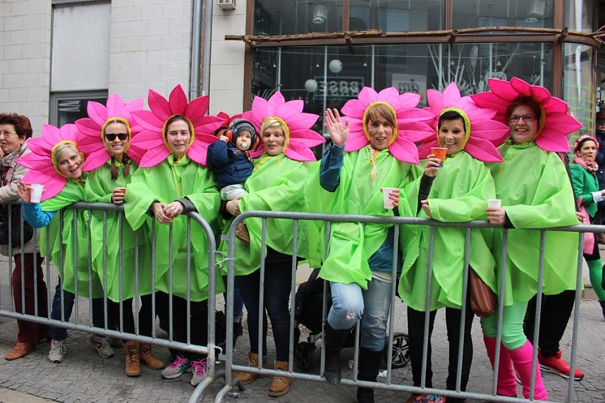 N&auml;rrinnen, Narren und schr&auml;ge Typen
