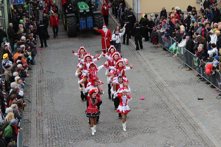 N&auml;rrinnen, Narren und schr&auml;ge Typen