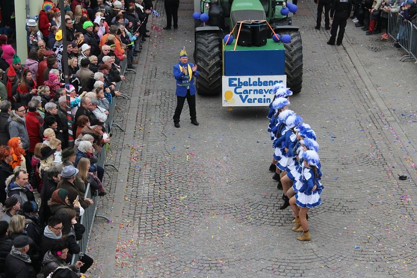 N&auml;rrinnen, Narren und schr&auml;ge Typen