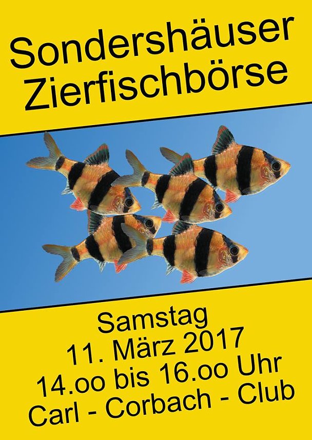 Weil wir f&uuml;r einen guten Zweck kicken