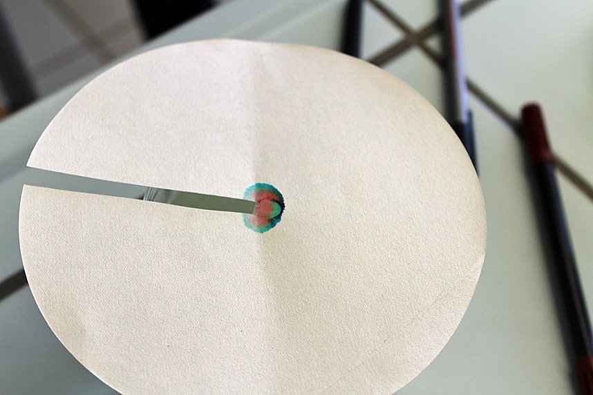 Das Scholl-Gymnasium am Samstag