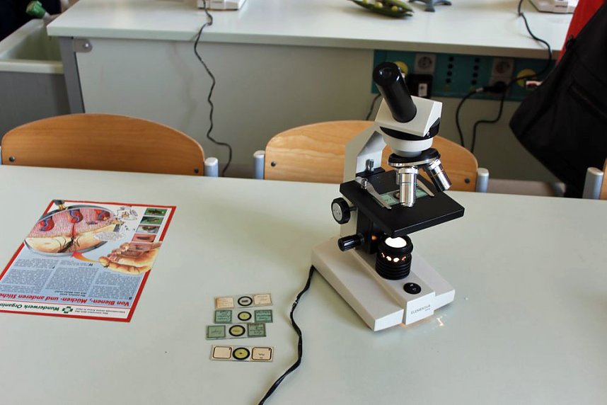 Das Scholl-Gymnasium am Samstag