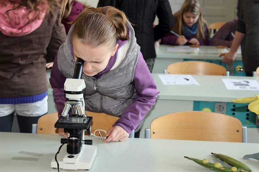 Das Scholl-Gymnasium am Samstag