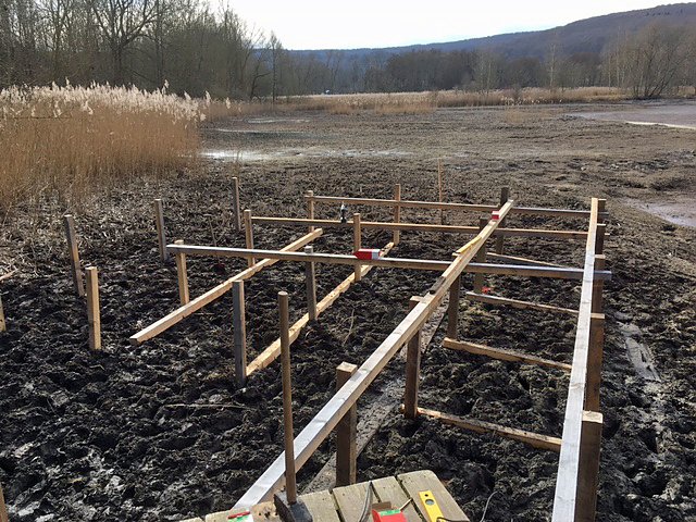 Fr&uuml;hlingserwachen an den Bebraer Teichen ...