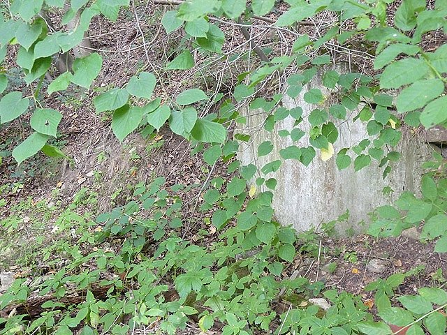 Fischer-M&uuml;hle Helbetal