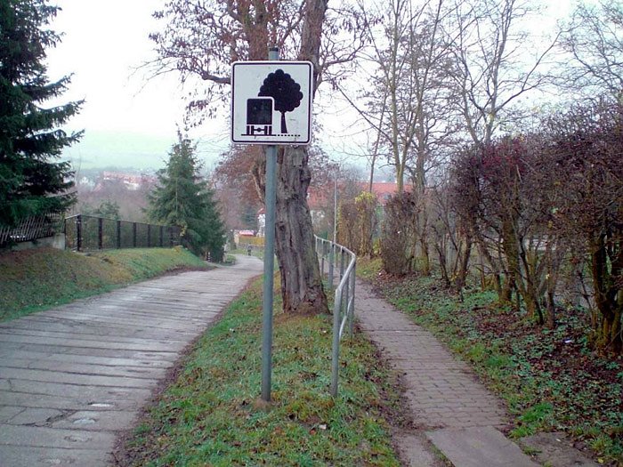 Artern ver&auml;ndert sich