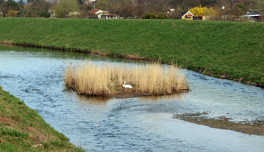 Zwei, drei B&auml;nke mehr w&auml;ren sch&ouml;n