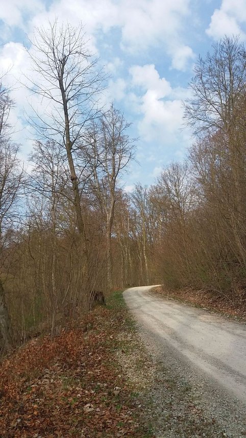 1. April Bismarckturm ge&ouml;ffnet