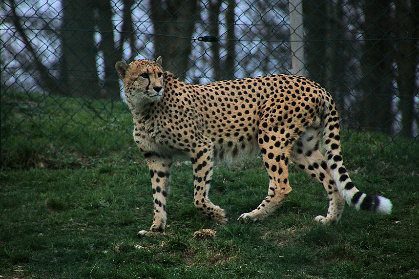 Besuch auf dem Possen
