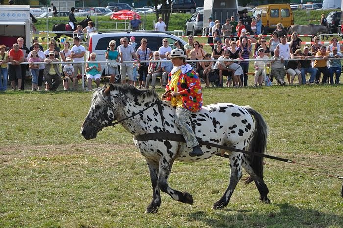 Kampf der Giganten Sundhausen