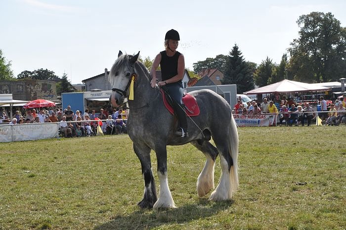 Kampf der Giganten Sundhausen