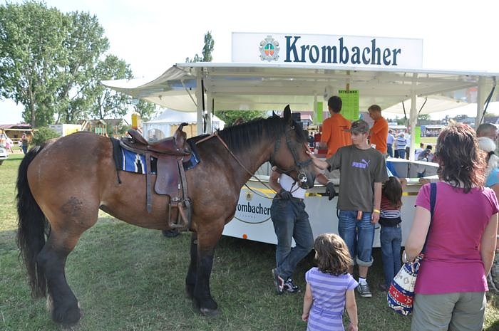 Kampf der Giganten Sundhausen