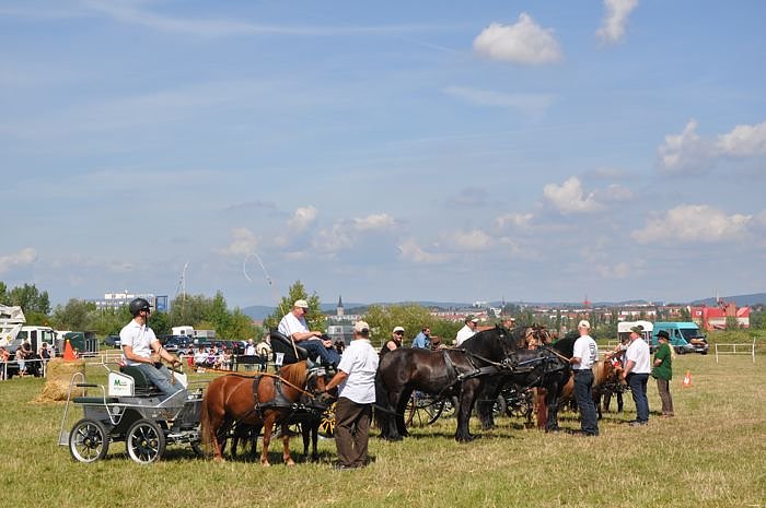 Kampf der Giganten Sundhausen
