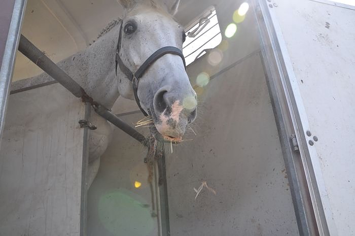 Kampf der Giganten Sundhausen