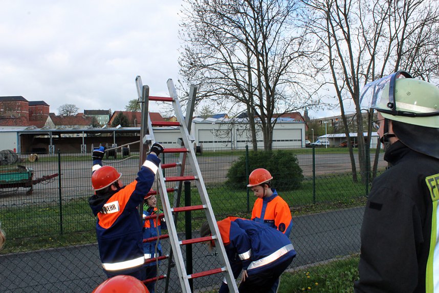 &Uuml;ber den Zaun gestiegen