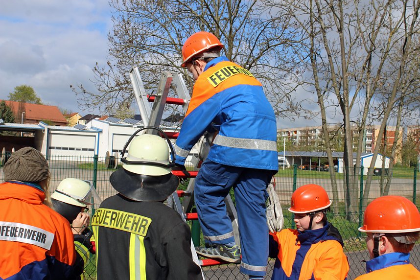 &Uuml;ber den Zaun gestiegen