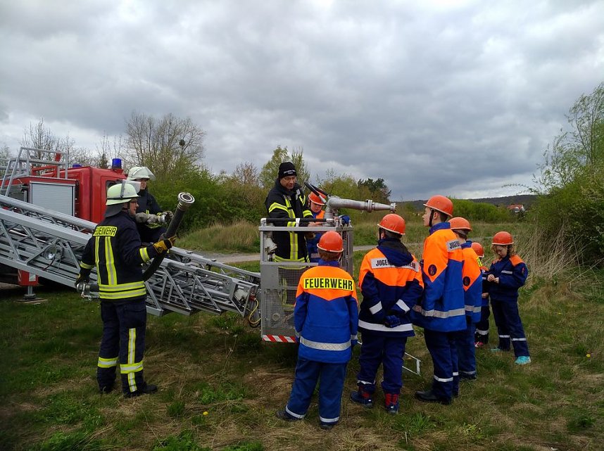 &Uuml;ber den Zaun gestiegen
