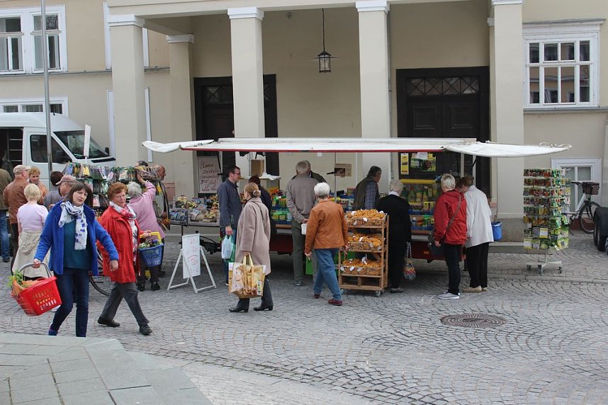 Gr&uuml;ne und bunte Oase Sondershausen