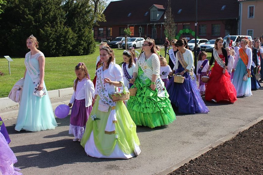 Fliederz&uuml;chtung nach Bad Frankenhausen benannt