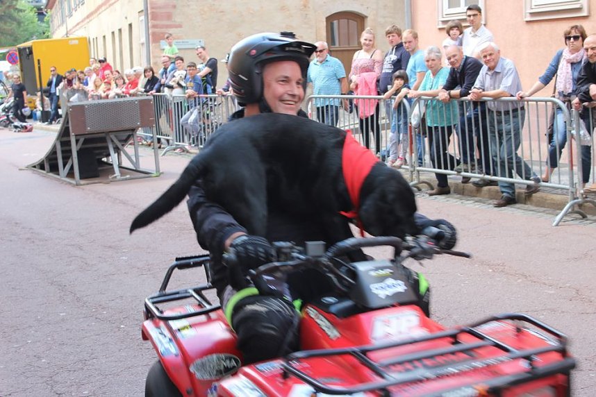 Spektakul&auml;re Stuntshow