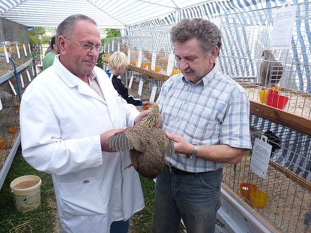 Rassengefl&uuml;gelausstellung in Bad Frankenhausen