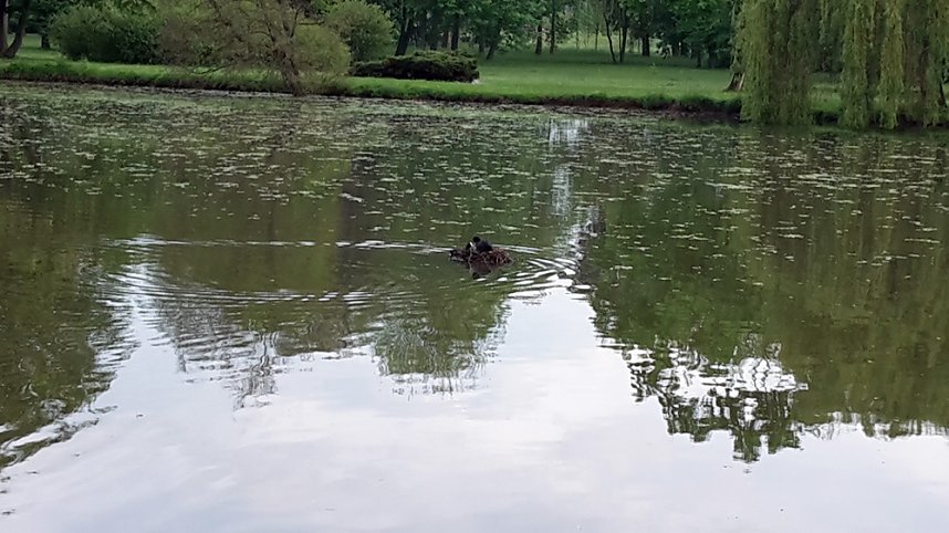 In die Kinderstube geschaut
