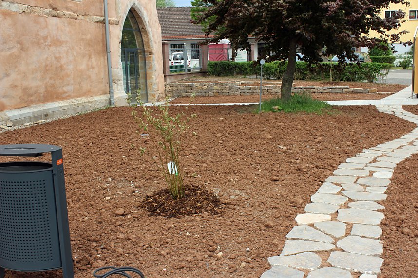 Spende f&uuml;r F&ouml;rderverein Cruciskirche