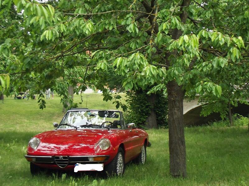 Impressionen vom M&uuml;hlentag (2)