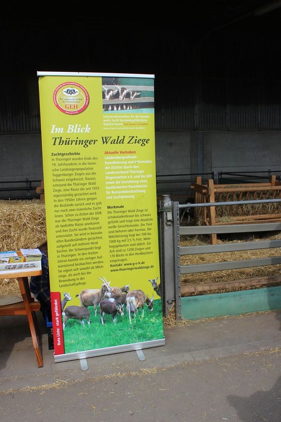  Ansturm auf das Hoffest