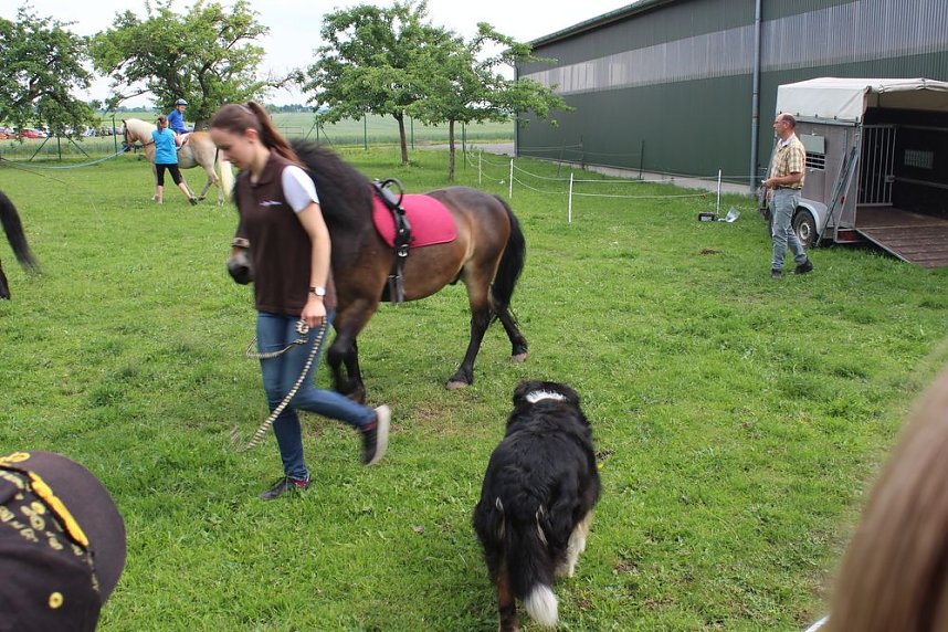  Ansturm auf das Hoffest