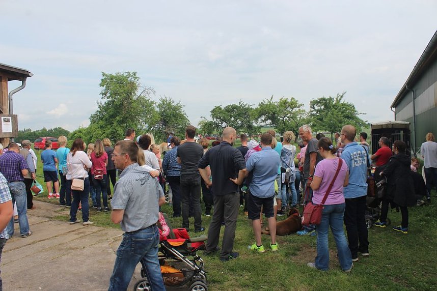  Ansturm auf das Hoffest