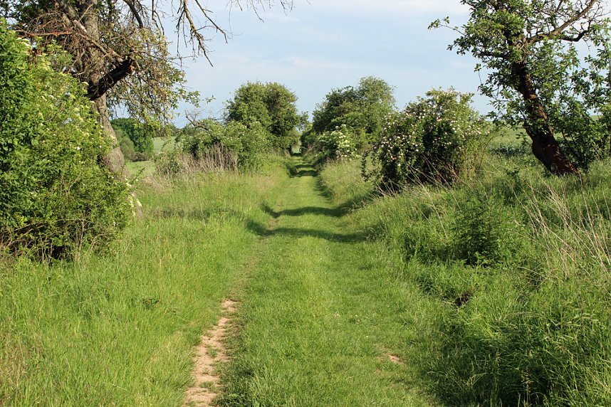 Weg in die Steinzeit des Tourismus?
