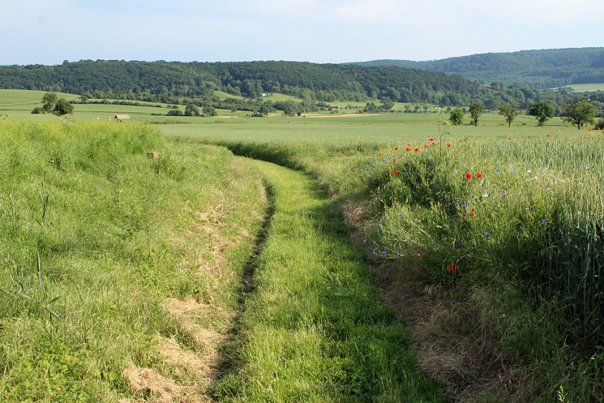 Weg in die Steinzeit des Tourismus?