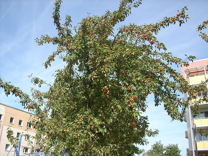 Spielplatz &Ouml;stertal