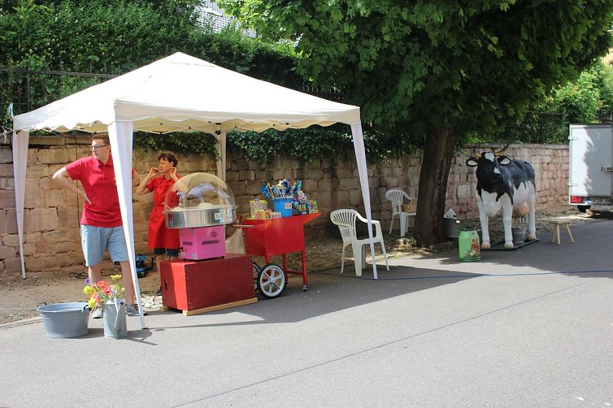 "Gro&szlig;e Schweinerei" vor der Kindervilla