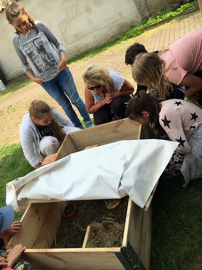 Erdbeerzeit, sch&ouml;ne Zeit