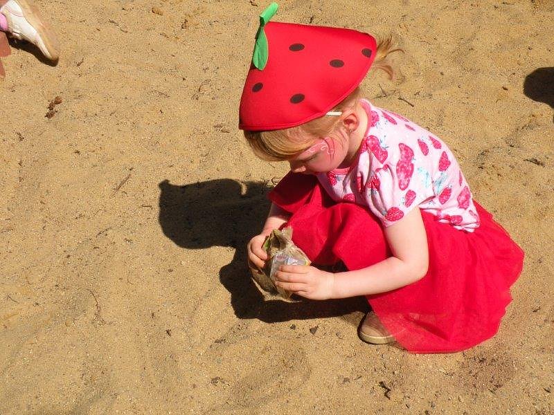 Die kleine Raupe Nimmersatt...