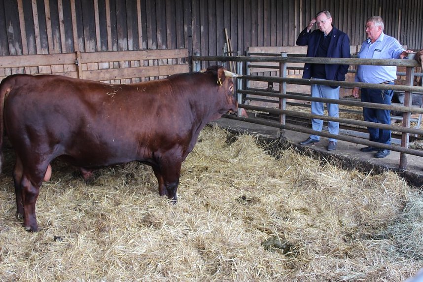  Ministerpr&auml;sident wird Pate von Tieren
