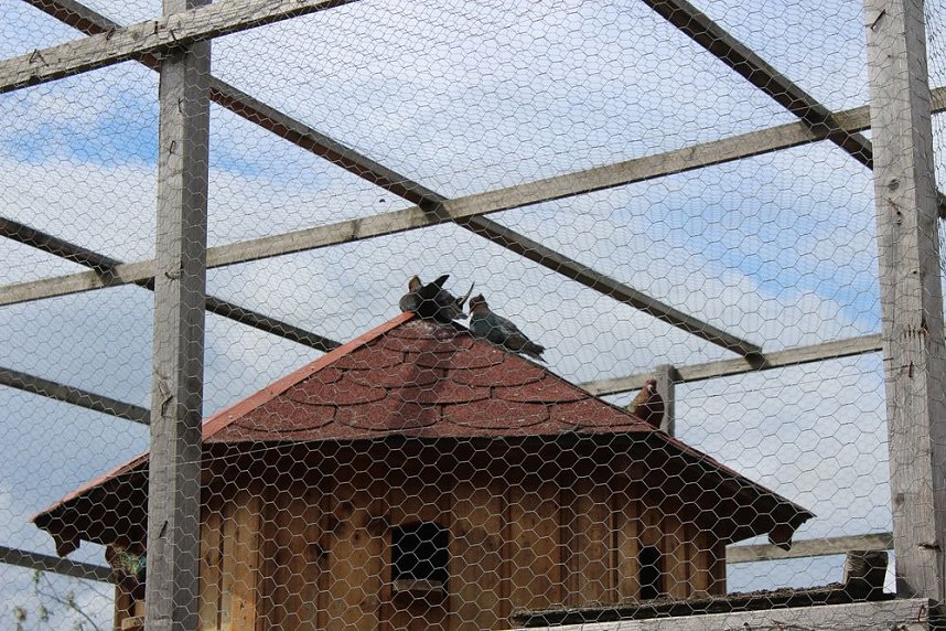  Ministerpr&auml;sident wird Pate von Tieren