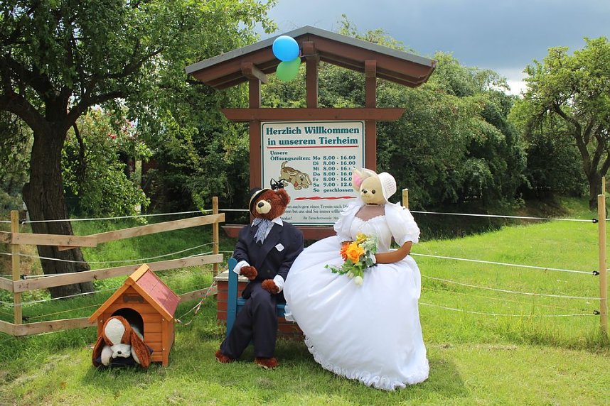 Jubil&auml;en bei den Tiersch&uuml;tzern