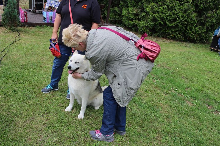 Jubil&auml;en bei den Tiersch&uuml;tzern