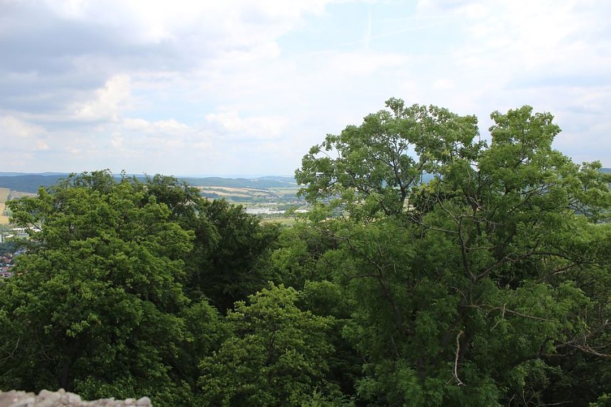 Waldbegehung am Possen im unterschiedlicher Resonanz
