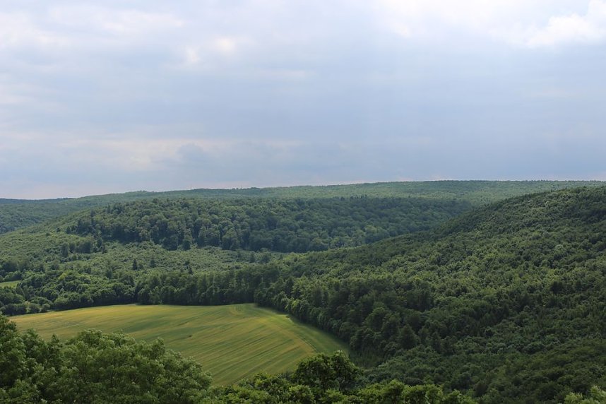 Waldbegehung am Possen im unterschiedlicher Resonanz