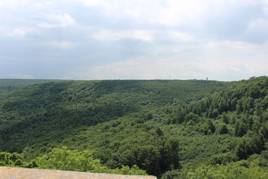 Waldbegehung am Possen im unterschiedlicher Resonanz