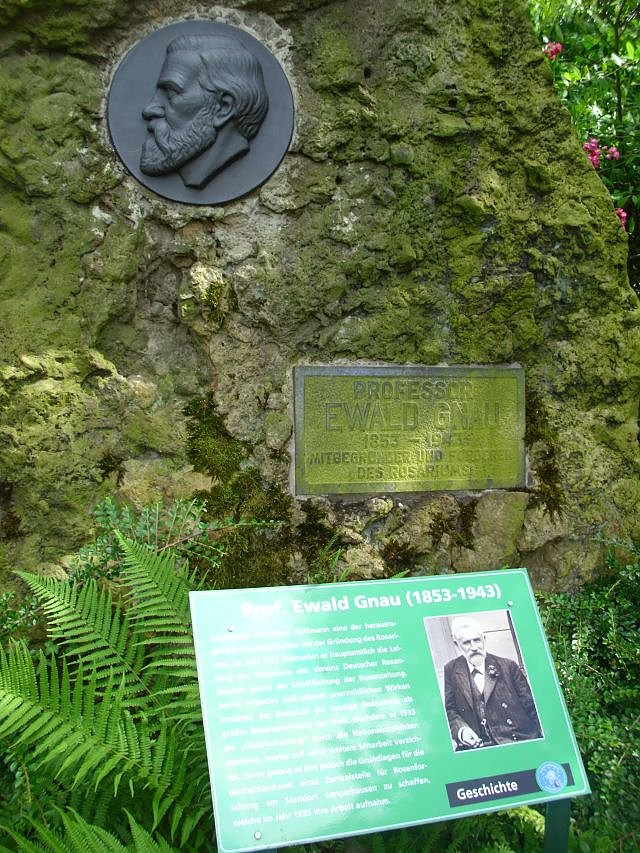 WB 4 besuchte Europa-Rosarium Sangerhausen