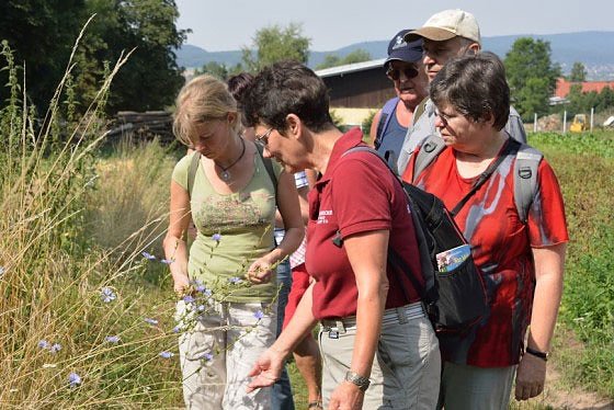 Veranstaltungstipps Hohe Schrecke