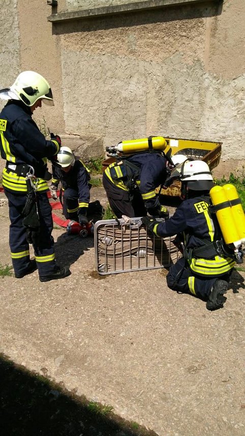 Anstrengendes Ausbildungswochenende