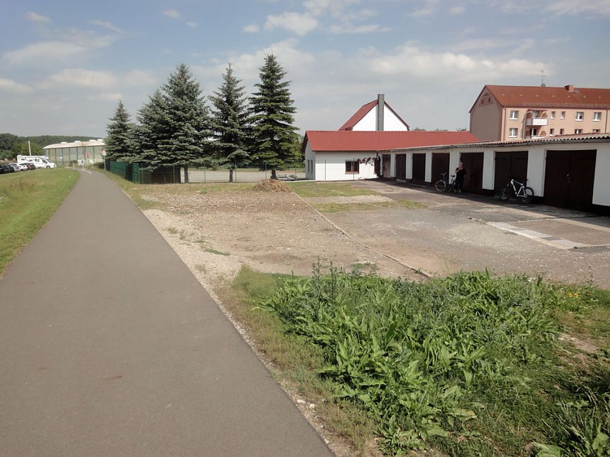 Ebeleben: Kampf gegen die Zackenschote