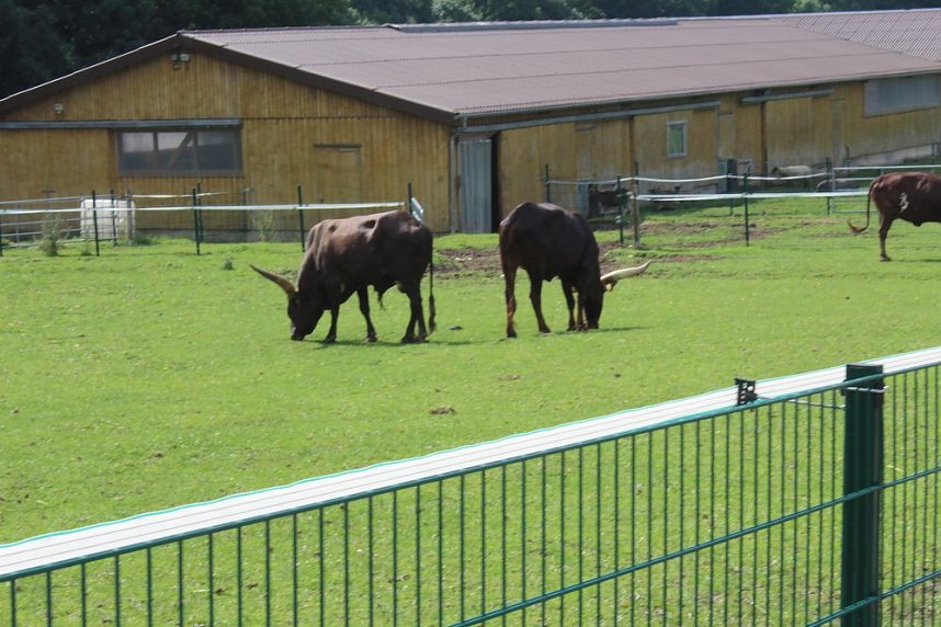 Teils kontrovers im Possenwald unterwegs